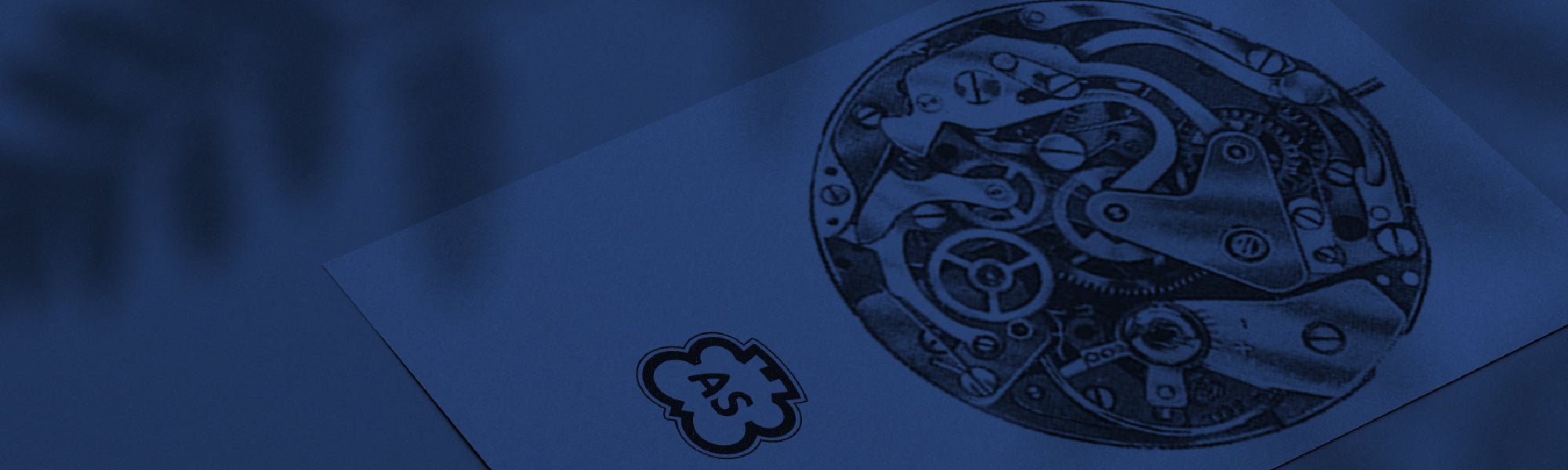 Decorative background image showing a hand-drawn movement and the Schild brand logo.